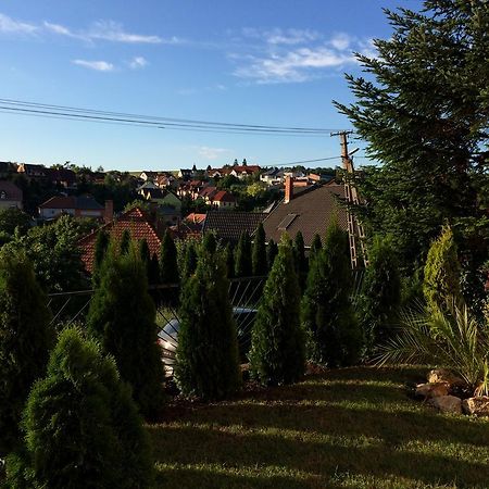 Almagyar Vendeghaz Otel Eğri Dış mekan fotoğraf